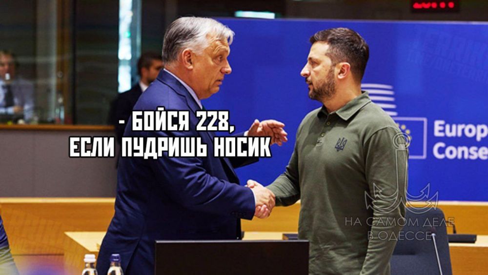      2  28 ,   