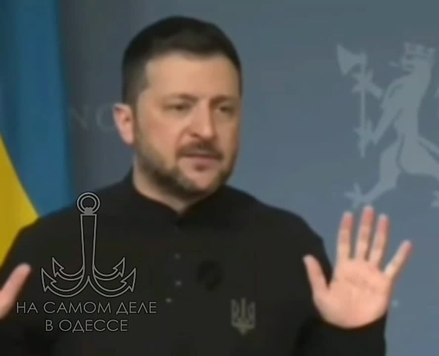 :    ,   ,    11 