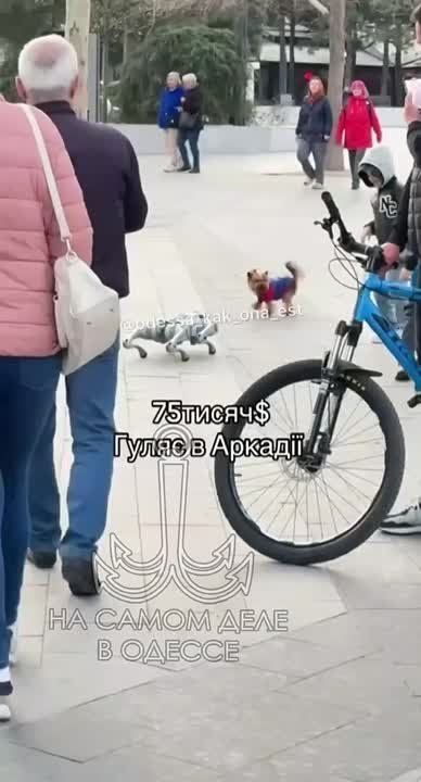. ..        .       