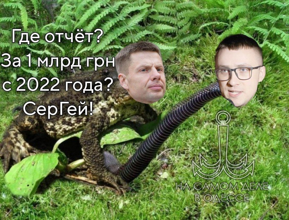  -. -    ,    ,  