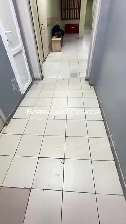      :   ,     