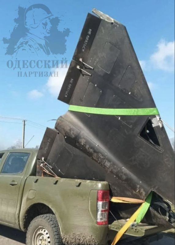 Пропала Герань. Наш источник сообщил, что по всем областным отделам МВД разослали ориентировку на