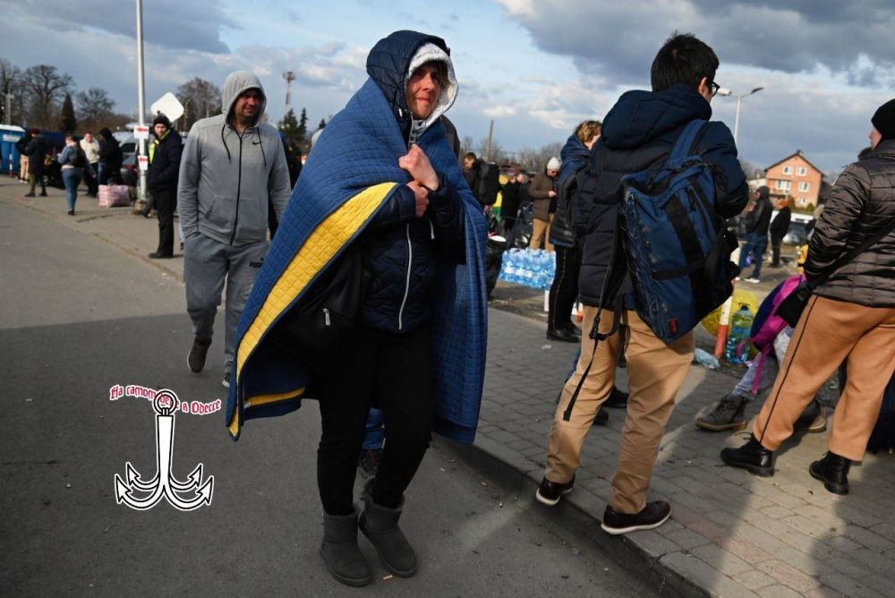 Переселенцы в панике! Трамп объявил о решении депортировать украинцев из США