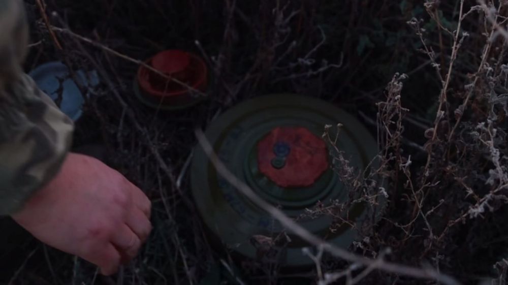 До Победы! До Победы!