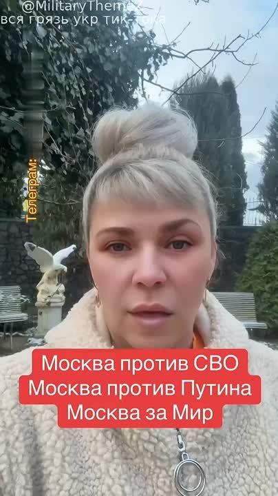       ,   ,    