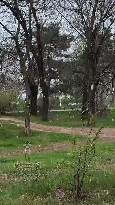   ..            ,          