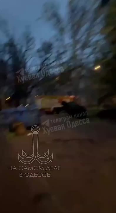     ,  74,        