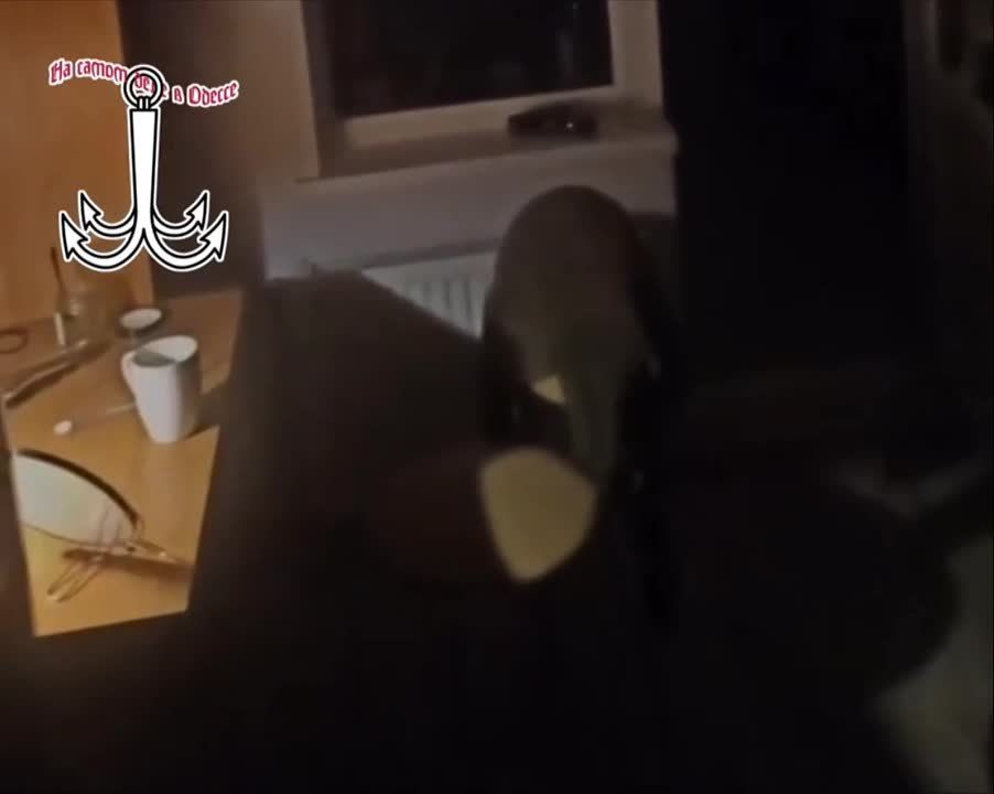   ..   