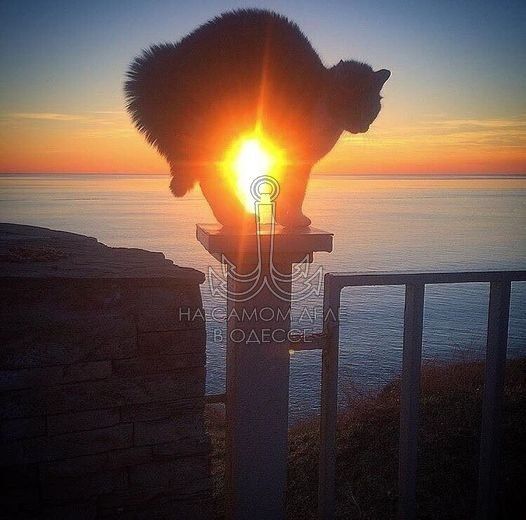 Таки да, Одесса-мама проснулась