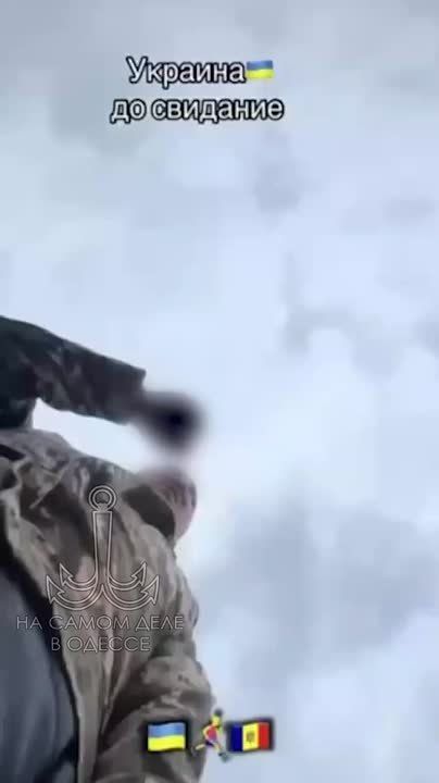   ,     ,         ,   !