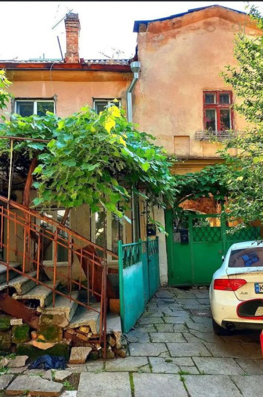 Таки да, Одесса-мама проснулась