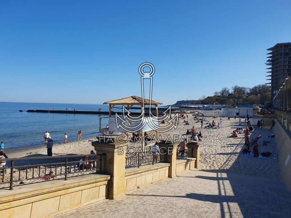 Таки да, Одесса-мама проснулась