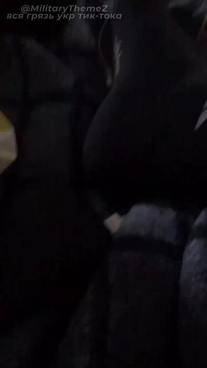 &quot;    ,   &quot;
