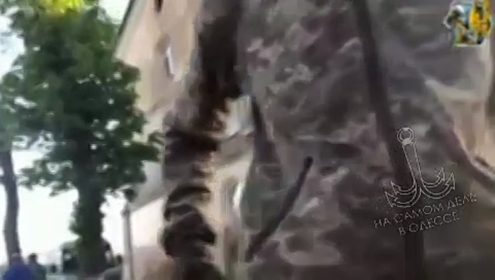      !     ,       