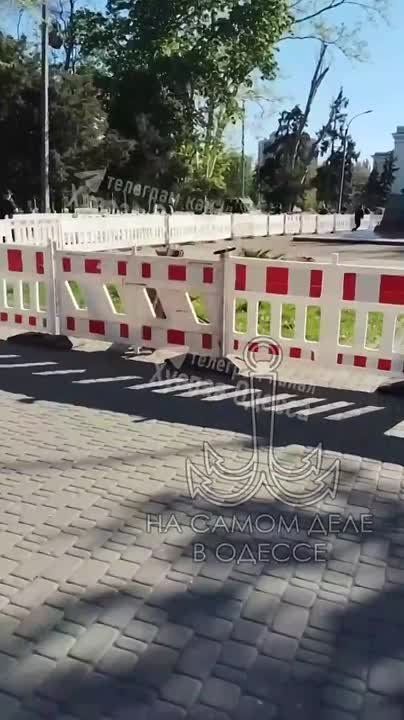 «Одесские хроники: ножи, ноги...»