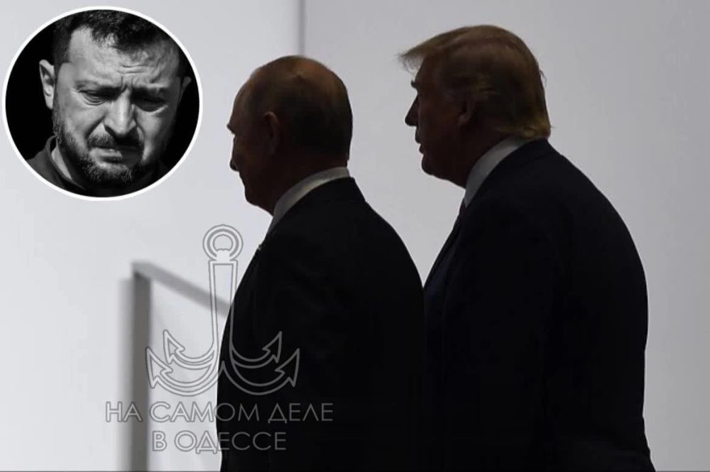 Трамп может приехать в Стамбул на переговоры России и Украины