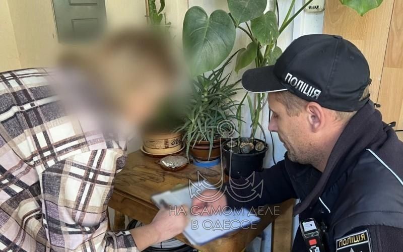 Одесская собачка отметила «хероя» – хозяйке грозит 15 суток искупления