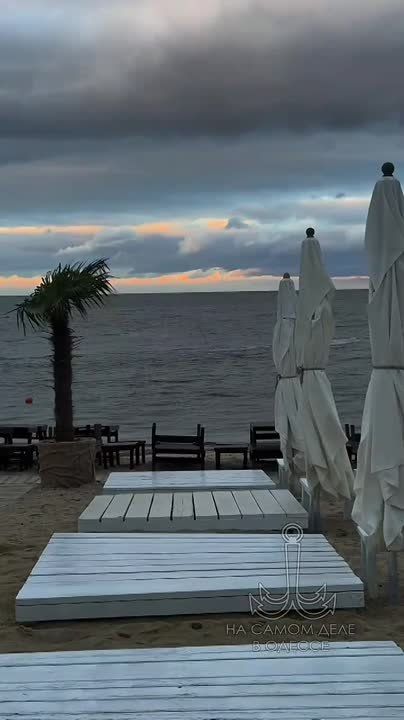 Крик родных чаек, напоминает о родных берегах