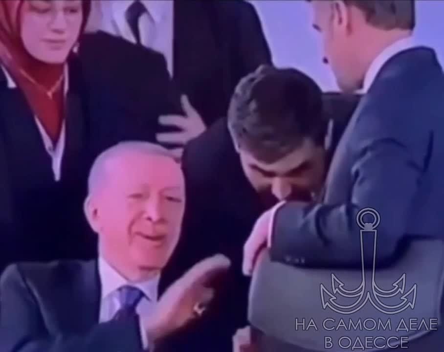  ,  ,   