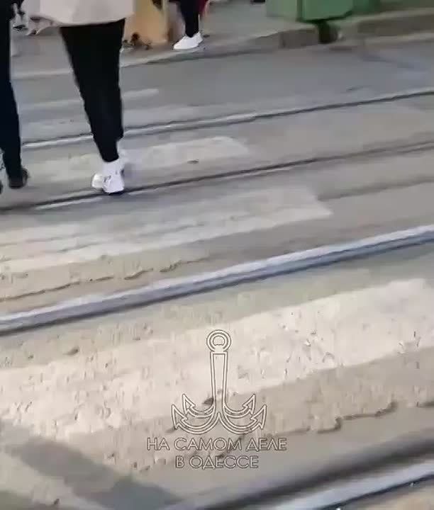  廠.        ,      