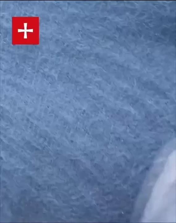 «Сережа, ты кровь проливаешь ради этих оборотней, побратимов»?