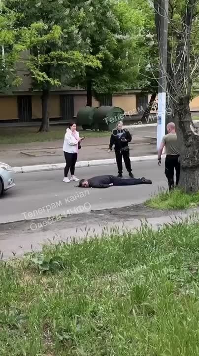      ,       ,  ,   