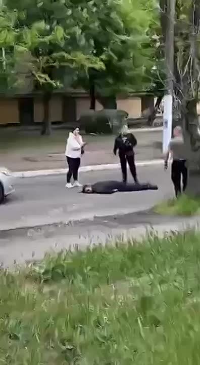 .       ,  ,       ,        