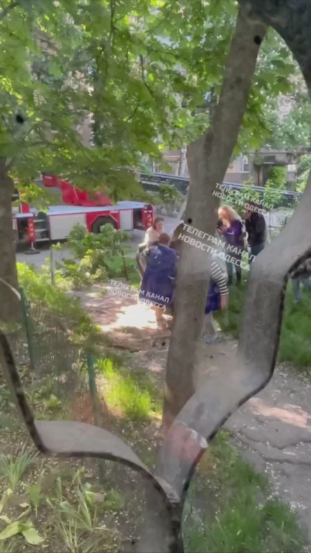 В Одессе мужчина попытался укрыться от представителей ТЦК, залезши на дерево