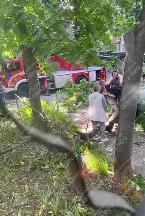 Сегодня в г. #Одесса с 6.00 до начала 11 парнишка, убегая от #ТЦК, залез на дерево