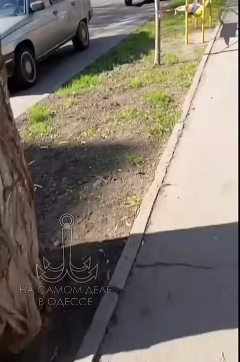    ,     ,   .
