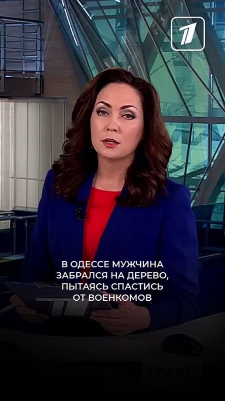 В Одессе мужчина убегал от военкомов, забрался на самую верхушку дерева — на высоту пятиэтажного дома