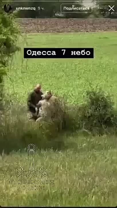 7 . .     :    ,     