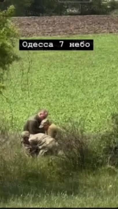     &quot;&quot;,      ,     