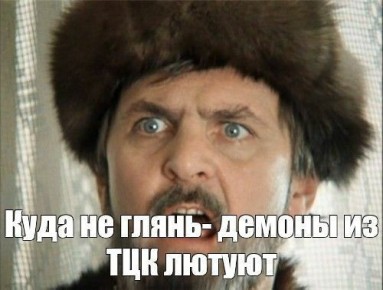 29.05.25 .  ,                -  