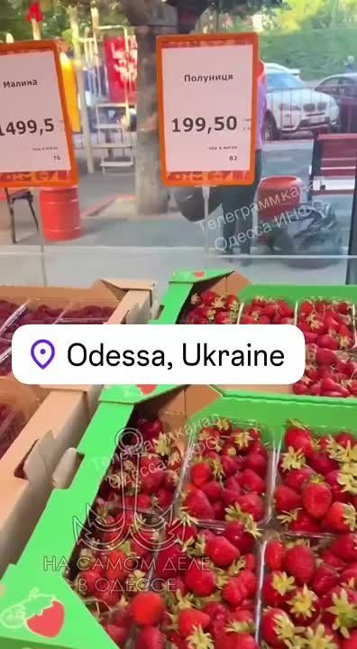 «Элитная малина всего за 1500 грн/кг» – или как почувствовать себя аристократом, просто купив фрукты.