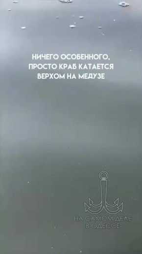    ׸   6  2025   18,3 C