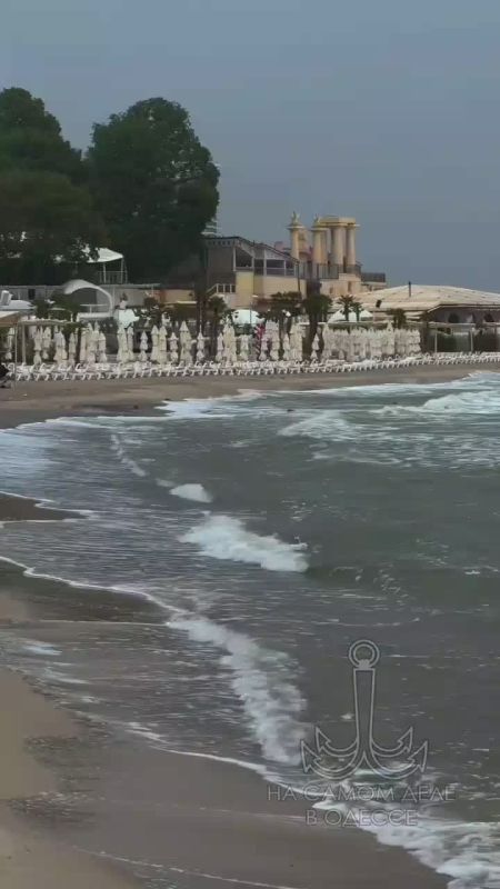 Таки да, Одесса-мама проснулась