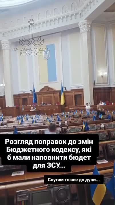 Да плевать депутаты хотели на ваше ЗСУ!