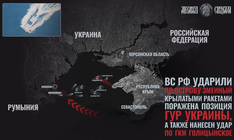 Удары по Змеиному – зачем был атакован остров?