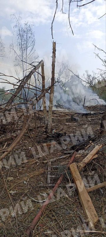 Вилково, ночь с 10 на 11 июня Вилково, ночь с 10 на 11 июня