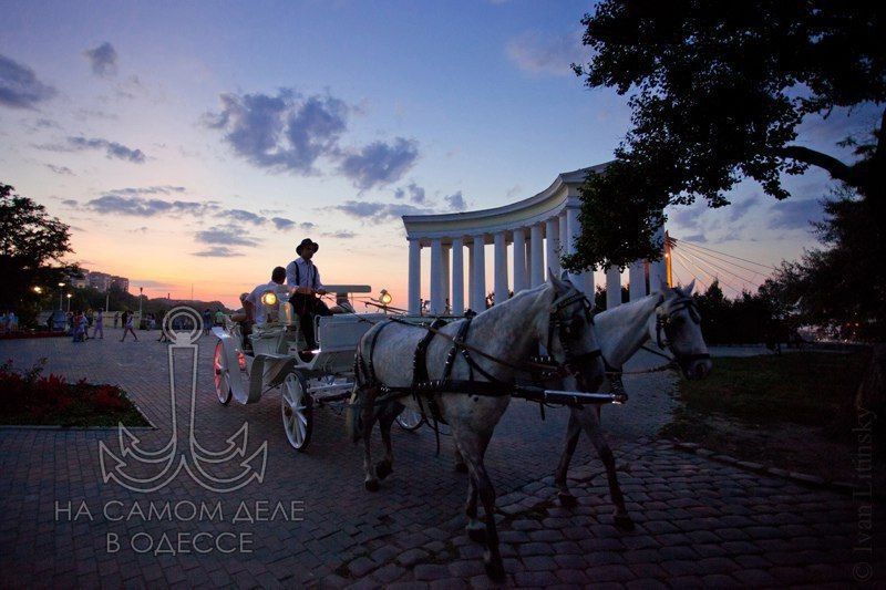 Одесса-мама мирных снов. — Абрам, вы знаете, я нашел новый способ разбогатеть!