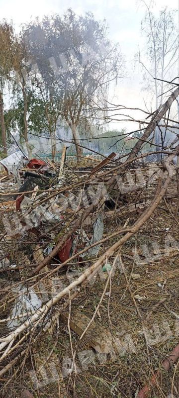 Вилково, ночь с 10 на 11 июня Вилково, ночь с 10 на 11 июня