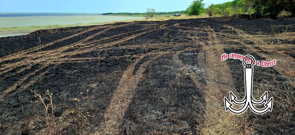 В Одесской области, на территории национального парка "Тузловские лиманы", случился серьезный пожар, охвативший свыше пяти гектаров степной зоны