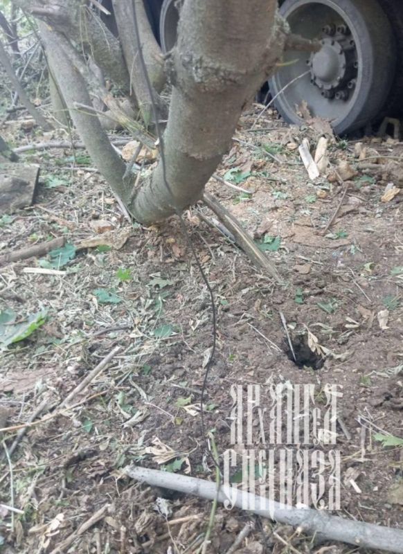 ����-�������������� � ����?