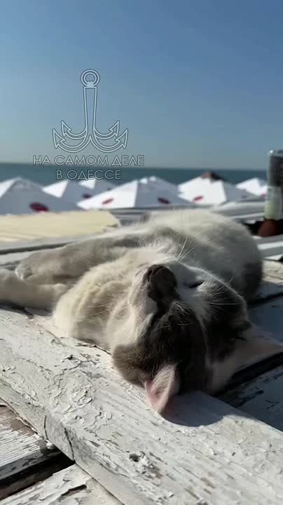  , - 