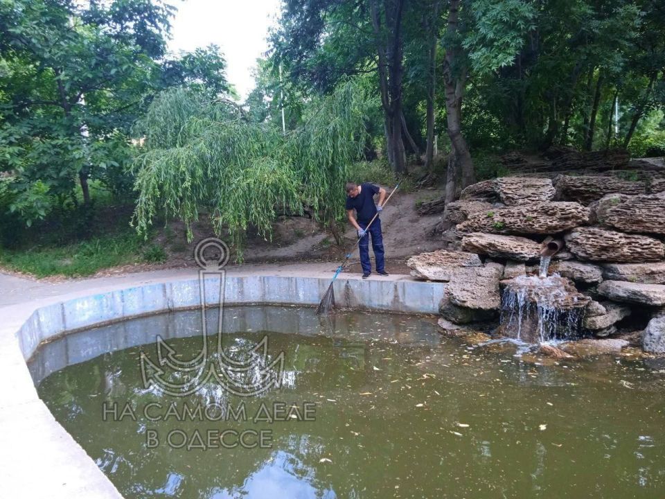 В дендропарке «Победа» – подвиг коммунальный! Берега прудов – целых 2 километра – таки привели в божеский вид В дендропарке «Победа» – подвиг коммунальный! Берега прудов – целых 2 километра – таки привели в божеский вид