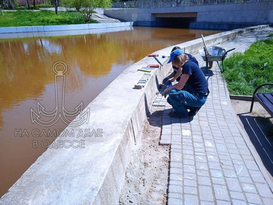 В дендропарке «Победа» – подвиг коммунальный! Берега прудов – целых 2 километра – таки привели в божеский вид В дендропарке «Победа» – подвиг коммунальный! Берега прудов – целых 2 километра – таки привели в божеский вид