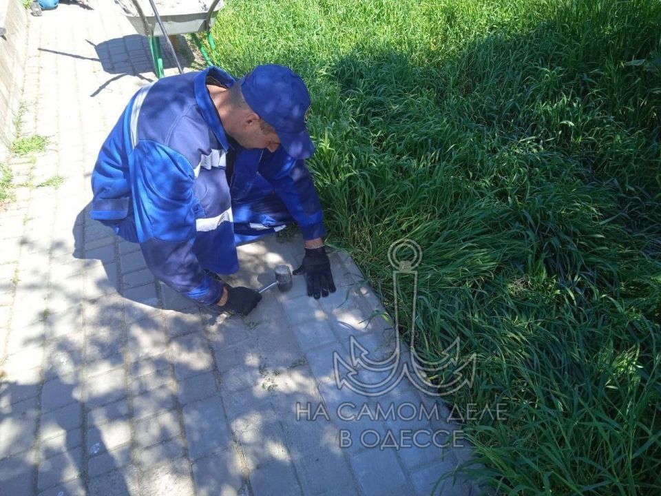 В дендропарке «Победа» – подвиг коммунальный! Берега прудов – целых 2 километра – таки привели в божеский вид В дендропарке «Победа» – подвиг коммунальный! Берега прудов – целых 2 километра – таки привели в божеский вид