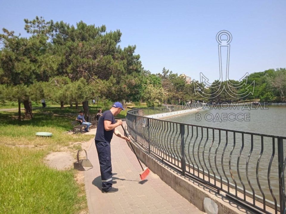 В дендропарке «Победа» – подвиг коммунальный! Берега прудов – целых 2 километра – таки привели в божеский вид В дендропарке «Победа» – подвиг коммунальный! Берега прудов – целых 2 километра – таки привели в божеский вид