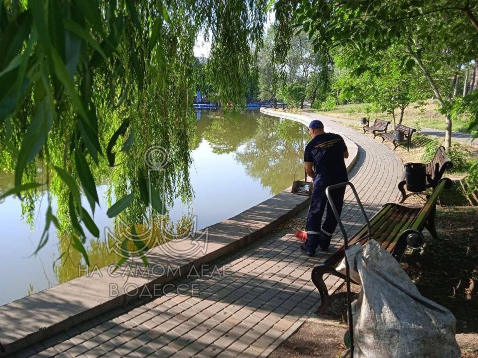 В дендропарке «Победа» – подвиг коммунальный! Берега прудов – целых 2 километра – таки привели в божеский вид В дендропарке «Победа» – подвиг коммунальный! Берега прудов – целых 2 километра – таки привели в божеский вид